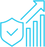 Bonelli Systems-Cybersecurity