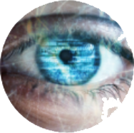 Bonelli Systems-Managed It Services